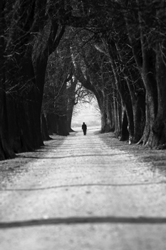 Alzheimer’s Steals Even More When Disease Strikes Early Alzheimer’s Steals Even More When Disease Strikes Early