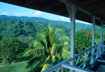 Jamaica3