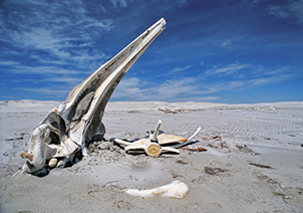 Culture Homepage – August 2011 Culture Homepage – August 2011
