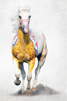 Horse-Human Bond Strengthens American Indian History Horse-Human Bond Strengthens American Indian History