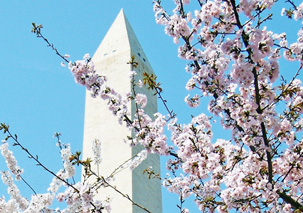 Culture Homepage – March 2012 Culture Homepage – March 2012