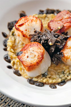 New Chef Rejuvenates Casual But Creative Bistro New Chef Rejuvenates Casual But Creative Bistro
