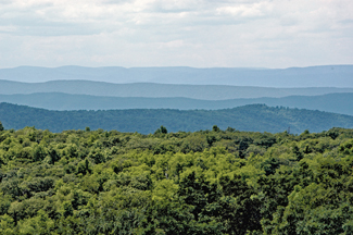 c2.education.camps.blue.ridge.mountains.story