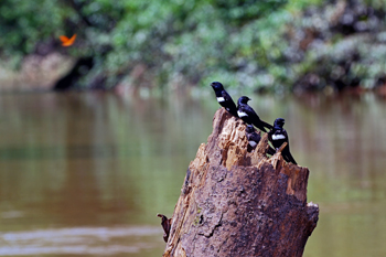 a2.climate.conservation.equador.story