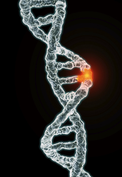 Web Service Lets People Crack Their Genetic Codes Web Service Lets People Crack Their Genetic Codes