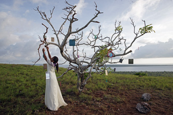 Environmental Film Fest Brings World of Eco Issues to D.C. Environmental Film Fest Brings World of Eco Issues to D.C.