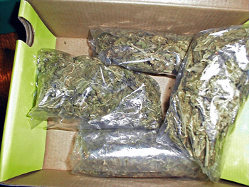 Debate Over Legalizing Drugs Grows Louder in Latin America Debate Over Legalizing Drugs Grows Louder in Latin America