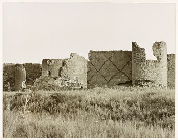 b3.ara.guler.walls.ani.story
