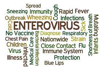 The Other “E” Outbreak: Surprising Rise of Enterovirus D68 The Other “E” Outbreak: Surprising Rise of Enterovirus D68