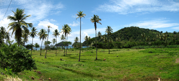 a4.dominica.erika.panorama.story