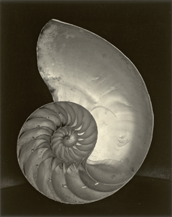 National Gallery of Art Toasts Its Photographic Legacy National Gallery of Art Toasts Its Photographic Legacy