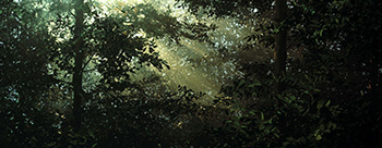 ‘Photography Reinvented’ Challenges Preconceived Notions ‘Photography Reinvented’ Challenges Preconceived Notions