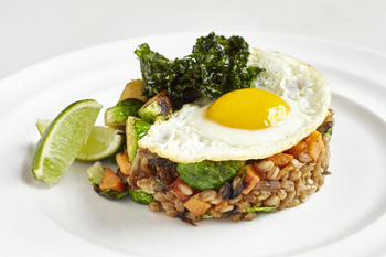 dining.entyse.vegetarian.hash.story