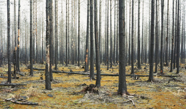 Swedish ‘Dreamland’ is more disturbing than dreamy Swedish ‘Dreamland’ is more disturbing than dreamy